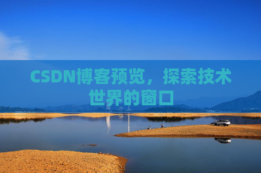 CSDN博客预览，探索技术世界的窗口